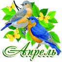 5152557_aaaaaImage (128x128, 10Kb)