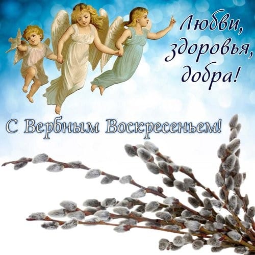 IMG-20240428-WA0074 (500x500, 45Kb)