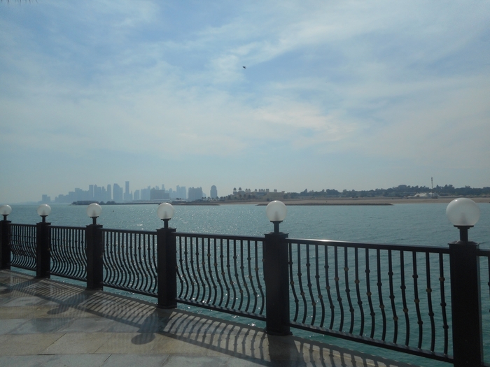 4878453_ttDSCN0296 (700x525, 220Kb)