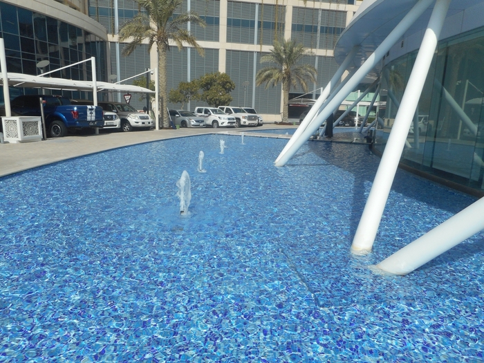 4878453_ttDSCN0308 (700x525, 359Kb)