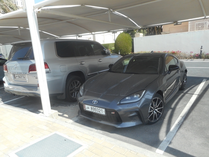 4878453_ttDSCN0315 (700x525, 253Kb)