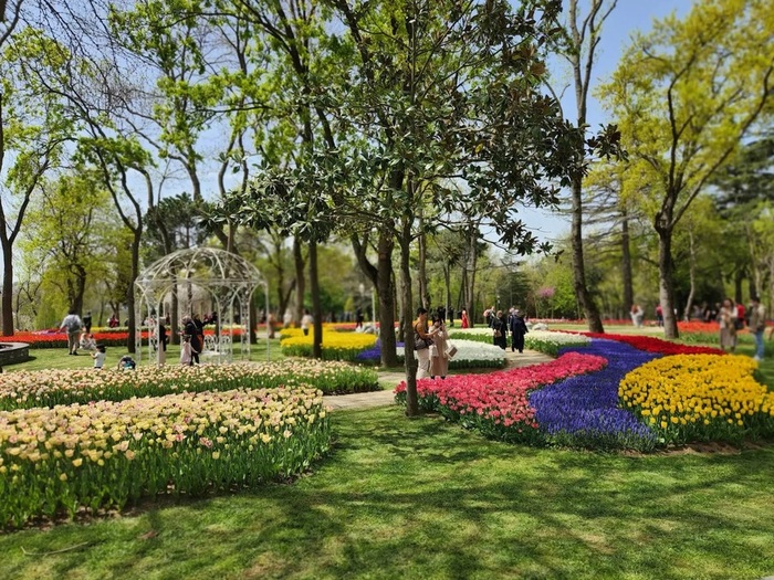 tulips-park-istanbul-unsplash (900x725, 223Kb)