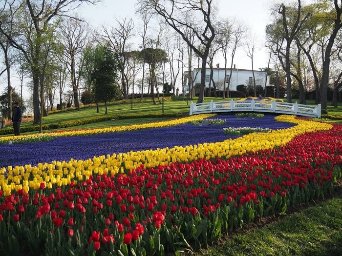 Emirgan+Park+Tulip+River (900x725, 143Kb)