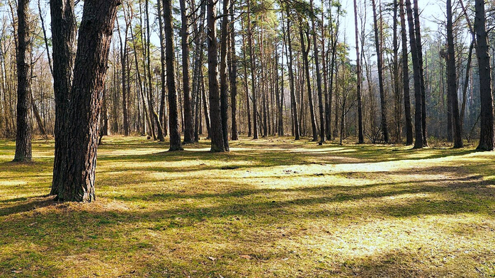 Влад Милешкин (700x393, 472Kb)