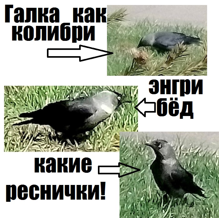 3   (700x699, 171Kb)