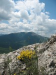 Сев. Демерджи
