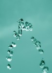 drops