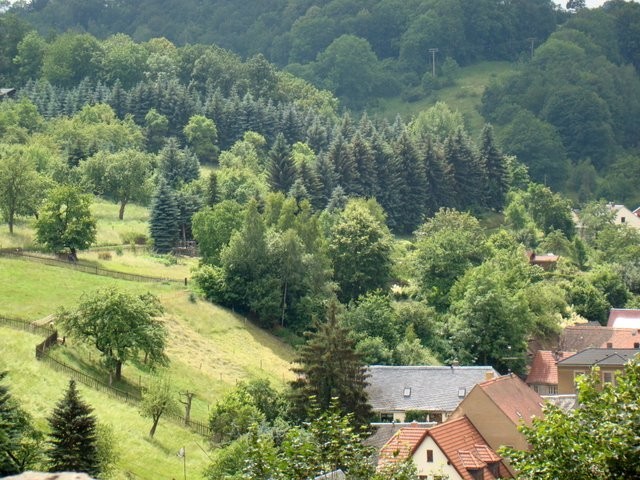 Das Schloss Kuckuckstein 99040