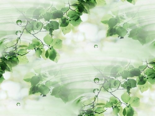 http://img0.liveinternet.ru/images/foto/b/1/apps/1/273/1273714_aird3soajsrfdm24och4btw2pcvtc0c2_6.jpg