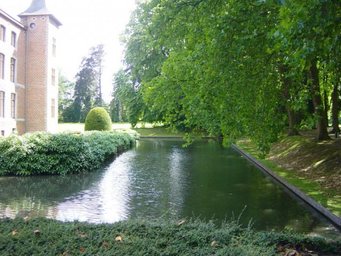 Rose Garden - Le jardin des roses