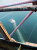 [+]  - nippon maru