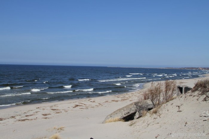 Море, солнце, песок и добрая Балтика!