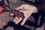 Mike Wells, .  1980 .   (Karamoja), .     .