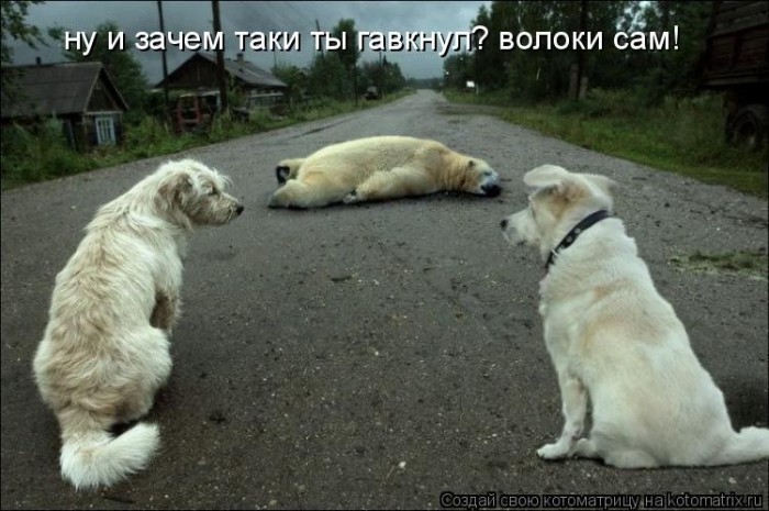 http://img0.liveinternet.ru/images/foto/b/2/apps/1/614/1614740_477954.jpg