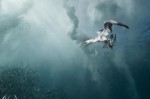  . plunge diver.  , :  , 3 .      -2009.