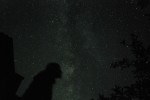  .   .  , :  , 2 .      -2009.