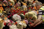 В Лондоне открылось Chelsea Flower Show, Англия, 25 мая 2010 года.