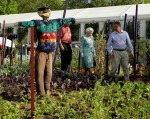 В Лондоне открылось Chelsea Flower Show, Англия, 25 мая 2010 года.