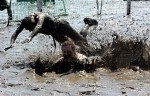 Мад Олимпийские игры (Mud Olympics) в устье реки Эльбы недалеко от Гамбурга, 6 июня 2010 года.