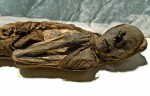 Мумия 30-ти летнего перуанца, около 1 000 лет назад. 'Мумии мира' ('Mummies of the World'): выставка в Калифорнийском научном центре Лос-Анджелеса, 30 июня 2010 года.