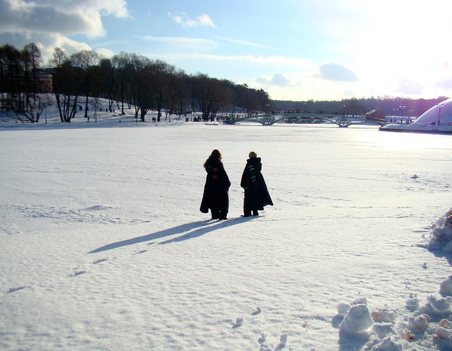 f_12228142.jpg