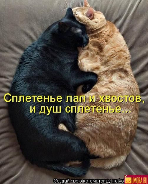 Любовь пришла внезапно стих и Любовь пришла внезапно стих и