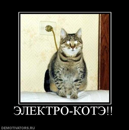 http://img0.liveinternet.ru/images/foto/b/3/apps/0/734/734900_311925_elektro-kote.jpg