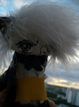Neko-boy(doll)