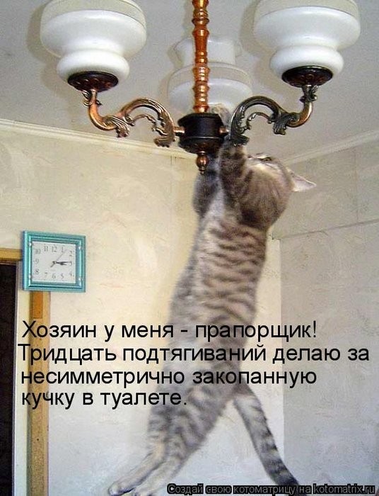 Котоматрица - 6 - Страница 10 932568_380138