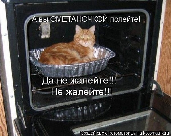 Кот и еда…