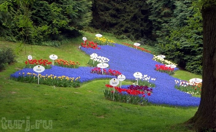 Almanya Mainau Adası, dünya üzerinde bir cennet, Almanya Konstanz Gölü Üzerinde Maina Almanya Mainau Adası, dünya üzerinde bir cennet, Almanya Konstanz Gölü Üzerinde Maina