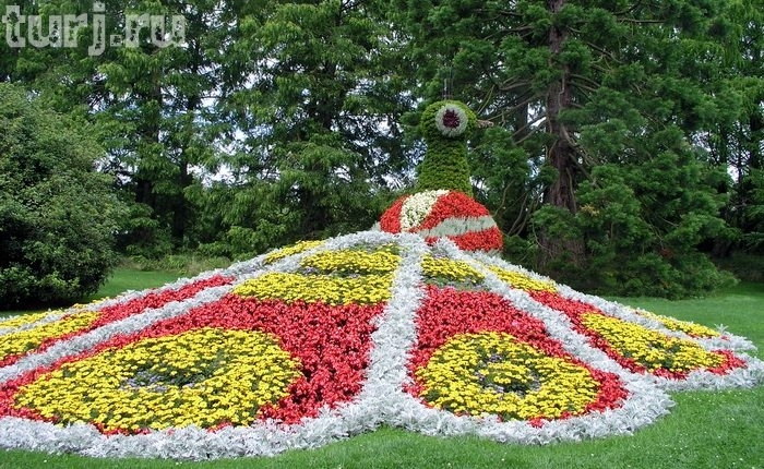 Almanya Mainau Adası, dünya üzerinde bir cennet, Almanya Konstanz Gölü Üzerinde Maina Almanya Mainau Adası, dünya üzerinde bir cennet, Almanya Konstanz Gölü Üzerinde Maina
