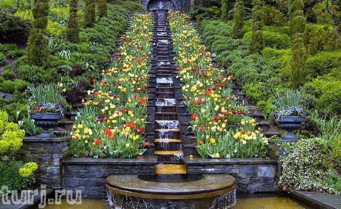 Almanya Mainau Adası, dünya üzerinde bir cennet, Almanya Konstanz Gölü Üzerinde Maina Almanya Mainau Adası, dünya üzerinde bir cennet, Almanya Konstanz Gölü Üzerinde Maina