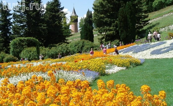 Almanya Mainau Adası, dünya üzerinde bir cennet, Almanya Konstanz Gölü Üzerinde Maina Almanya Mainau Adası, dünya üzerinde bir cennet, Almanya Konstanz Gölü Üzerinde Maina