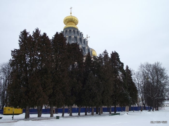 Кипарисовая аллея
