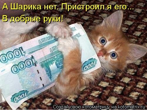 КотоМатрицы