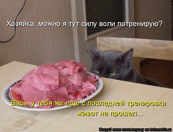 КотоМатрицы