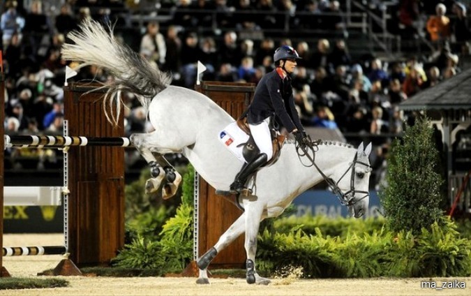 Всемирные конные игры (World Equestrian Games) в Лексингтоне, штат Кентукки, 27 сентября - 7 октября 2010 года.