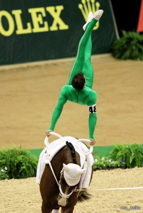 Всемирные конные игры (World Equestrian Games) в Лексингтоне, штат Кентукки, 27 сентября - 7 октября 2010 года.