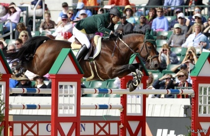 Всемирные конные игры (World Equestrian Games) в Лексингтоне, штат Кентукки, 27 сентября - 7 октября 2010 года.