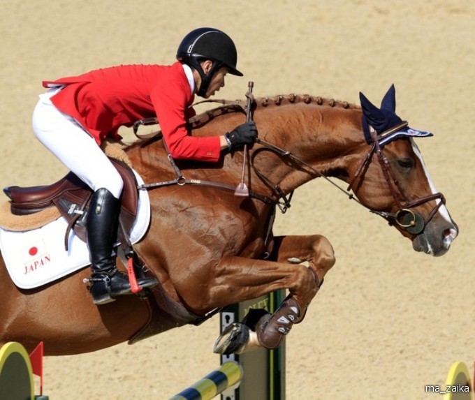 Всемирные конные игры (World Equestrian Games) в Лексингтоне, штат Кентукки, 27 сентября - 7 октября 2010 года.