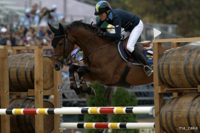 Всемирные конные игры (World Equestrian Games) в Лексингтоне, штат Кентукки, 27 сентября - 7 октября 2010 года.