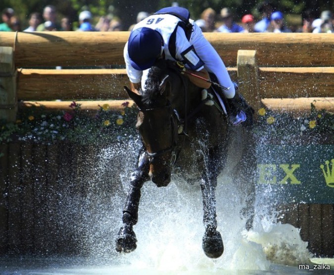 Всемирные конные игры (World Equestrian Games) в Лексингтоне, штат Кентукки, 27 сентября - 7 октября 2010 года.