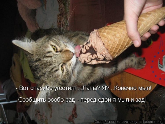 КотоМатрицы