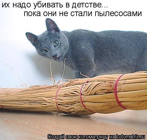 КотоМатрицы