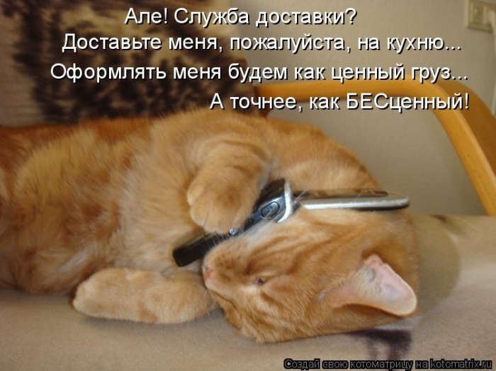 КотоМатрицы