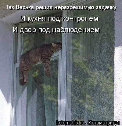 КотоМатрицы