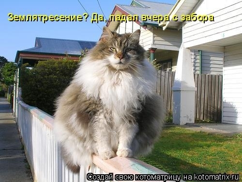 КотоМатрицы 