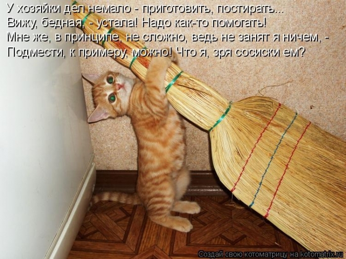 КотоМатрицы 