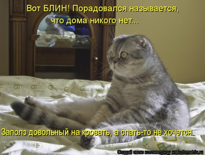 КотоМатрицы 